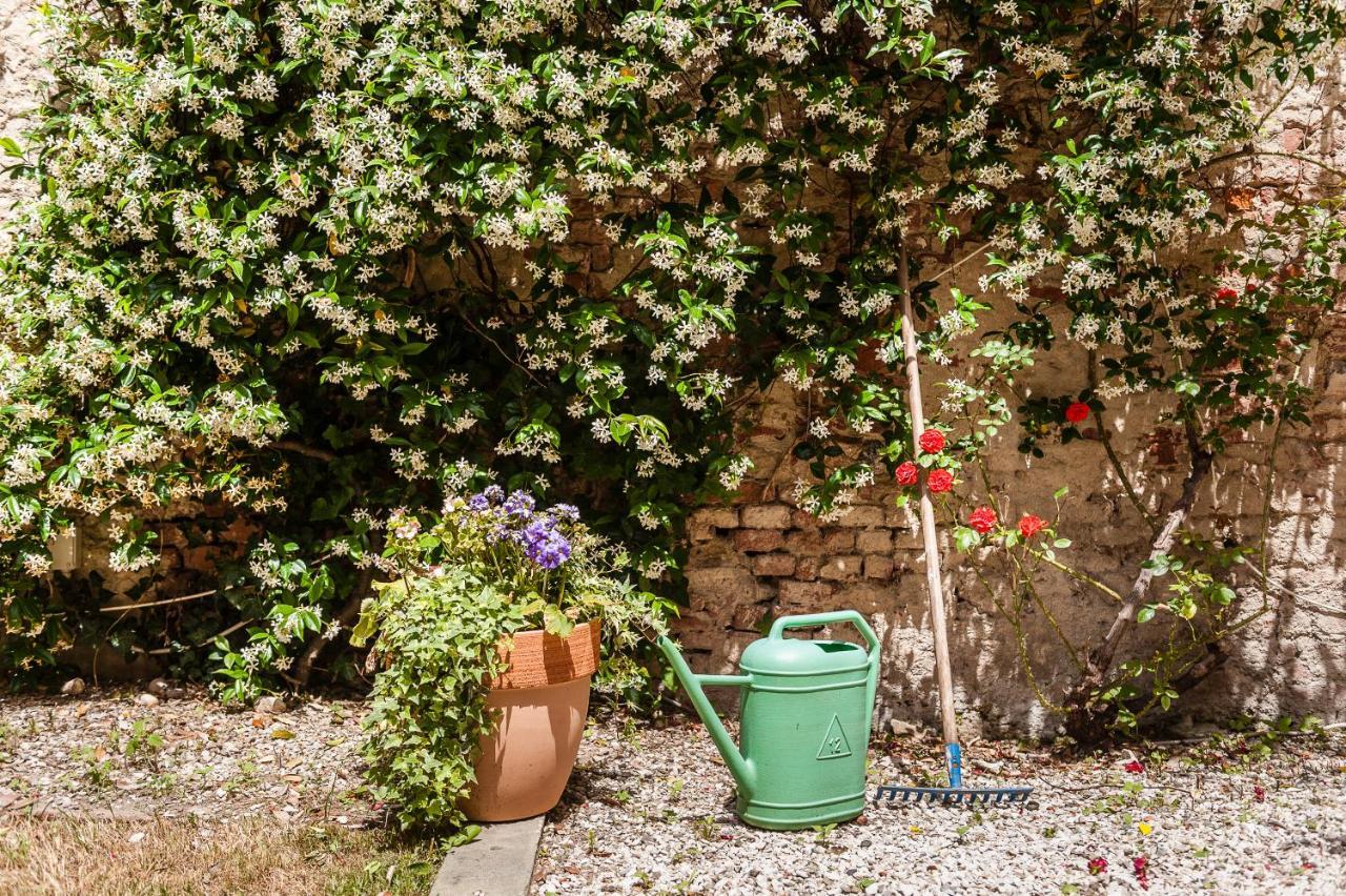 Hostly - Garden House Near The Tower - Historical House With Private Garden Appartement Pisa Buitenkant foto